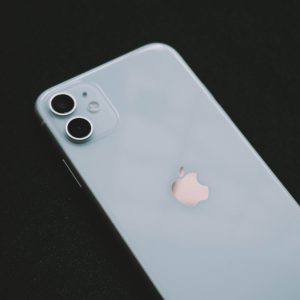 mark-chan–BD3cWCkVTs-unsplash mark-chan--BD3cWCkVTs-unsplash
